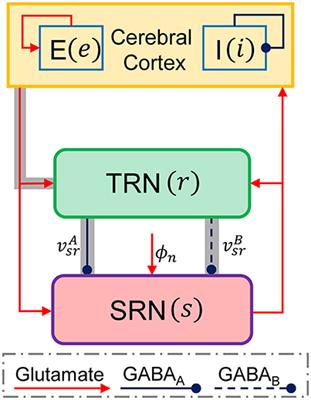 Control of Absence Seizures by the Thalamic Feed-Forward Inhibition